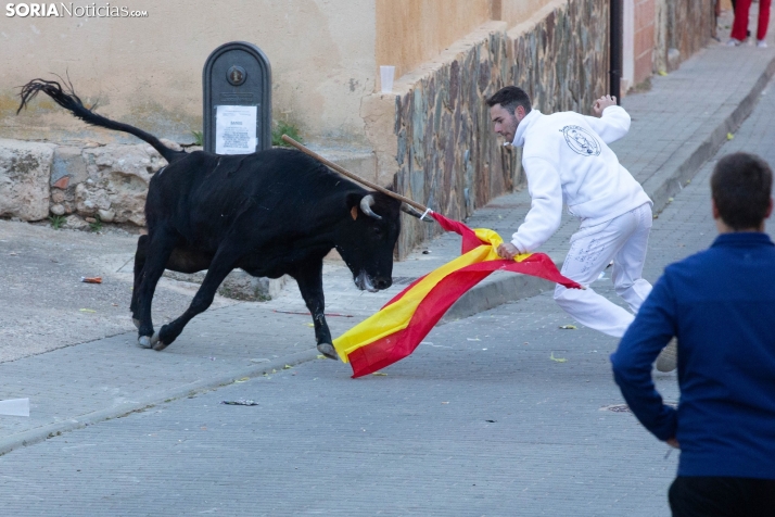 Encierro de Arcos