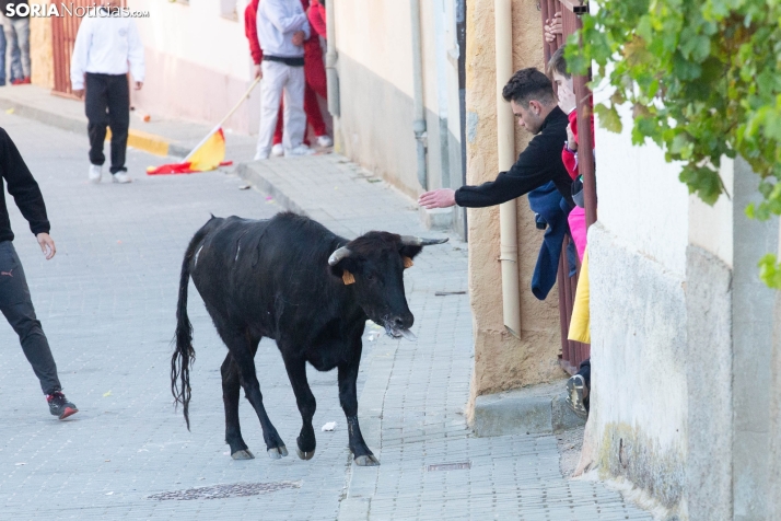 Encierro de Arcos