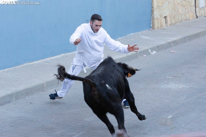 Encierro de Arcos