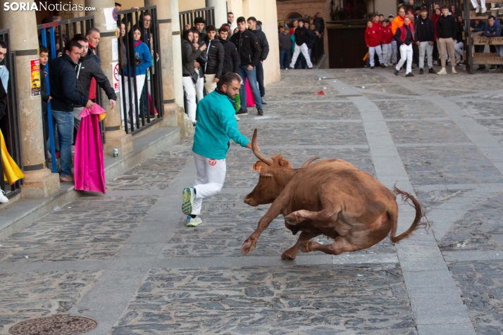 Encierro por San Miguel en Ágreda