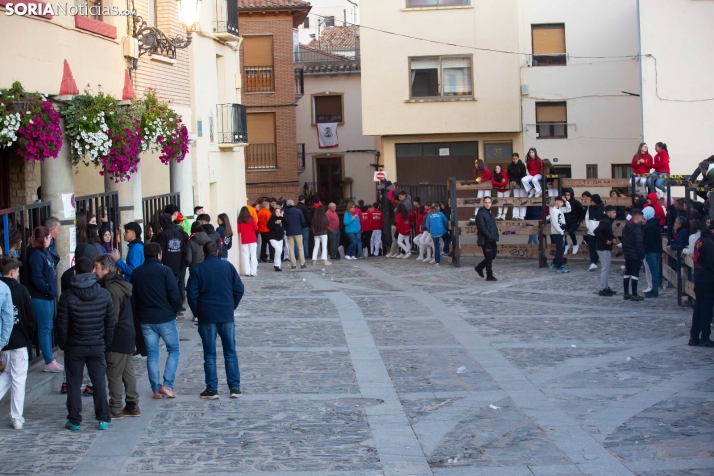 Encierro por San Miguel en Ágreda