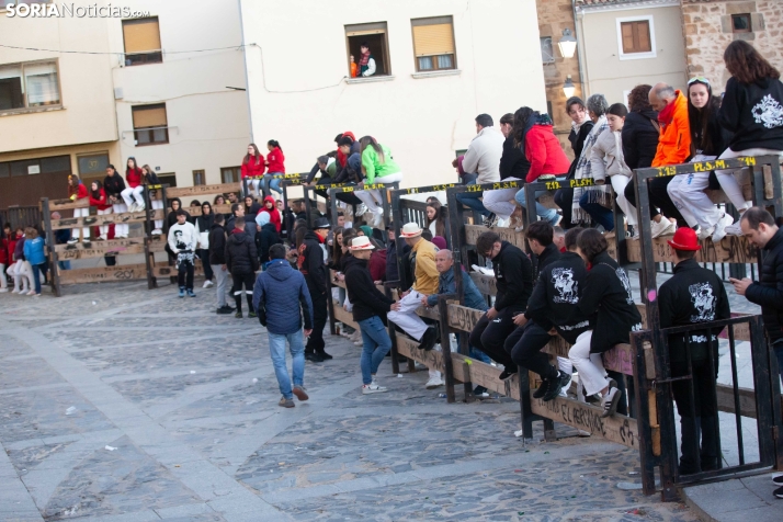 Encierro por San Miguel en Ágreda