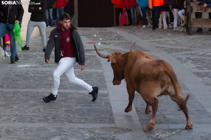 Encierro por San Miguel en Ágreda