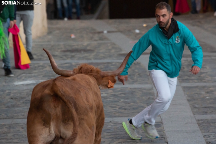 Encierro por San Miguel en Ágreda