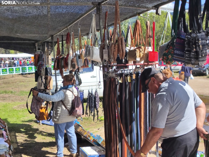 Vinuesa celebra su XXIII feria ganadera, en fotos