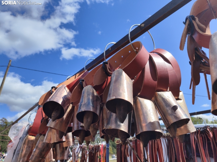 Vinuesa celebra su XXIII feria ganadera, en fotos