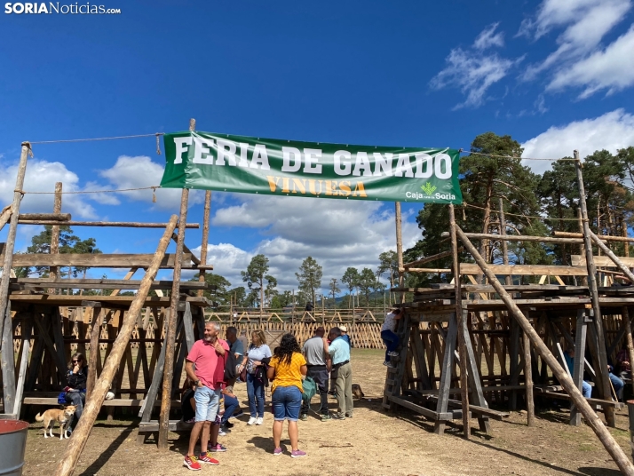 Feria ganadera Vinuesa 2024. 