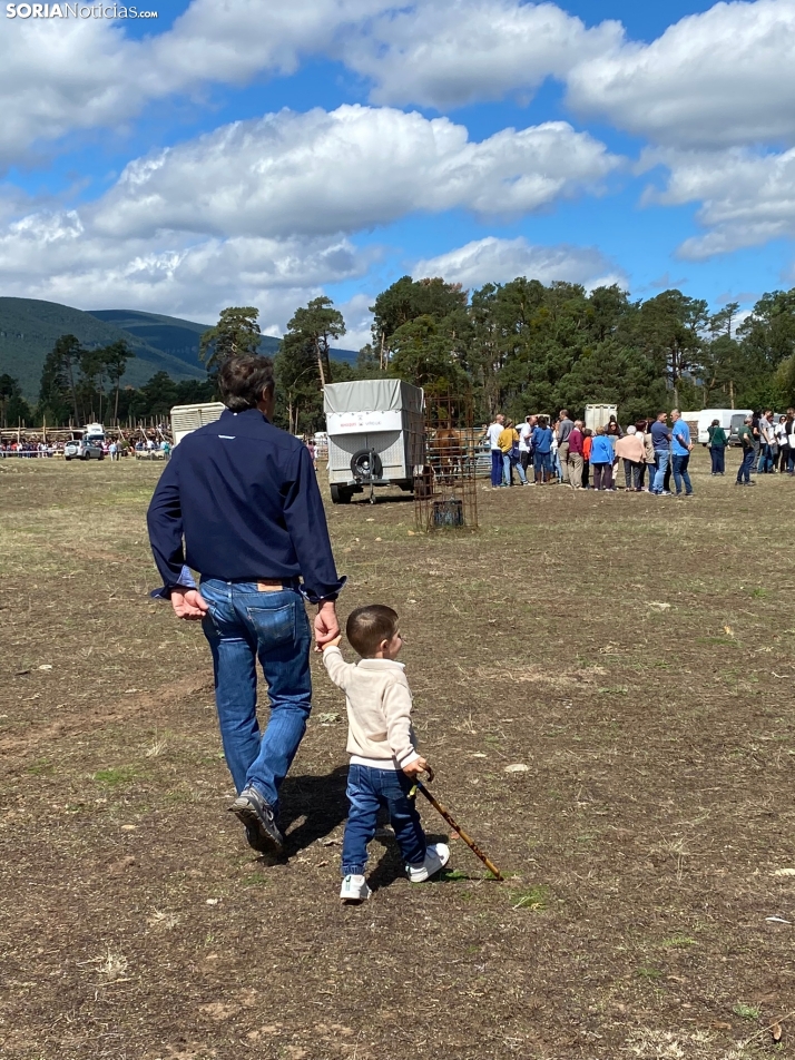 Feria ganadera Vinuesa 2024. 