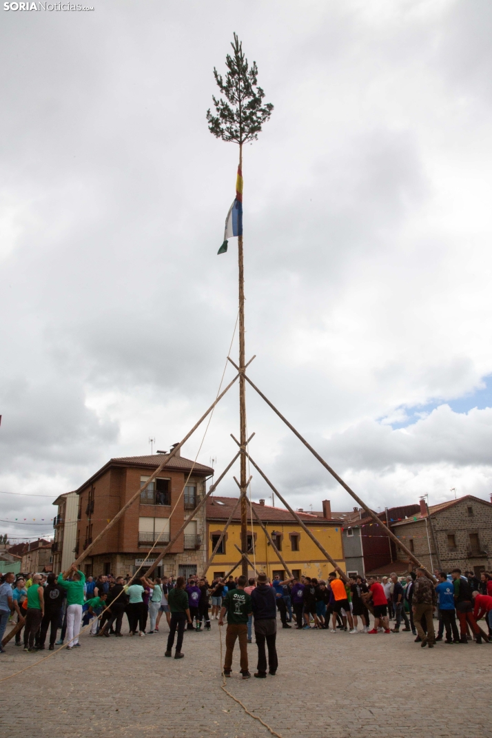 Mayo y pregón de las fiestas de Duruelo