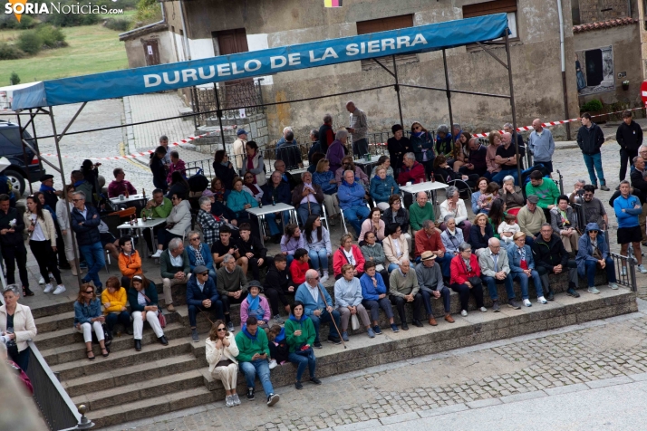 Mayo y pregón de las fiestas de Duruelo