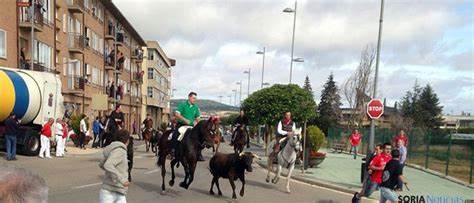 Ólvega celebra este sábado su tradicional encierro campestre