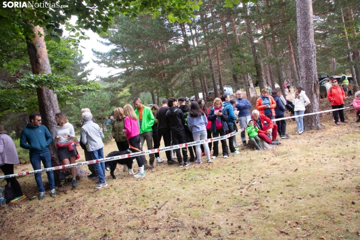 Skyrunning World Championships 2024 Soria