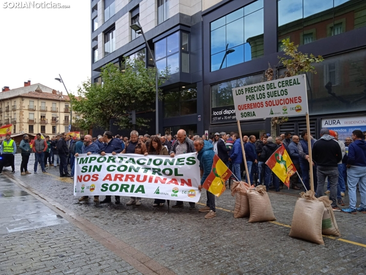 La subida de los costes de producción ha provocado la pérdida de 40mil hectáreas de cereal en Soria