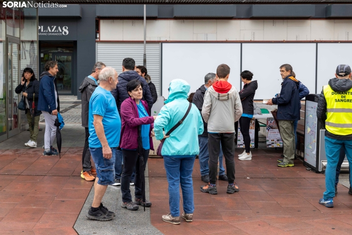 Marcha Donantes de Sangre 2024./ Viksar Fotografía