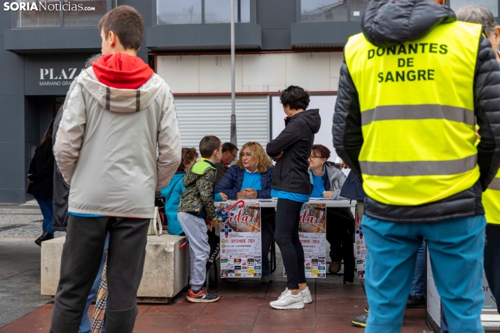 Marcha Donantes de Sangre 2024./ Viksar Fotografía