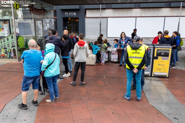 Marcha Donantes de Sangre 2024./ Viksar Fotografía