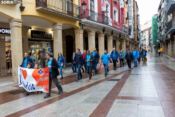 Marcha Donantes de Sangre 2024./ Viksar Fotografía
