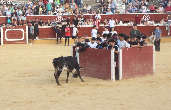 Soria tendrá finalmente vaquillas y novillada por San Saturio