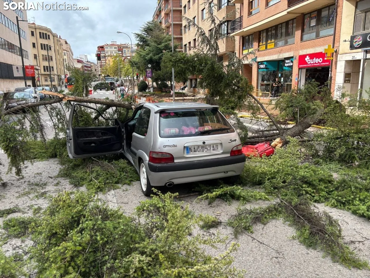 Foto 2 - Contin&uacute;an los incidentes por el viento en Soria: Cae un &aacute;rbol encima de un coche en pleno centro