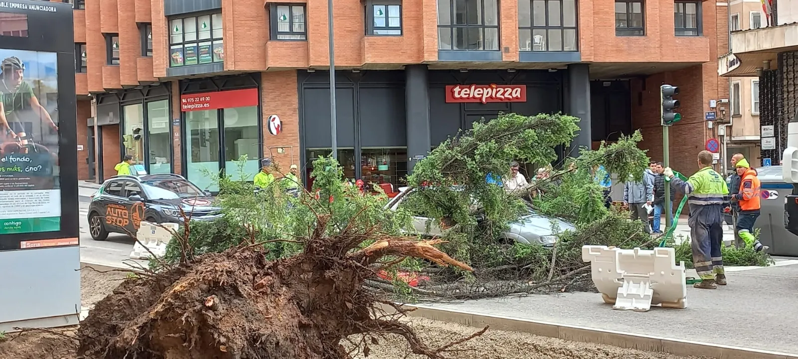 Foto 10 - Contin&uacute;an los incidentes por el viento en Soria: Cae un &aacute;rbol encima de un coche en pleno centro