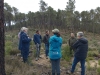 Foto 1 - Cerca de 40.000 hectáreas de montes de utilidad pública de Castilla y León tienen certificada su gestión forestal sostenible por el sistema FSC