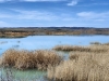 Foto 1 - El embalse de Monteagudo de las Vicarías se encuentra al 53,4 por ciento de su capacidad