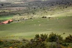 Foto 7 - De Inglaterra a Fuentelfresno