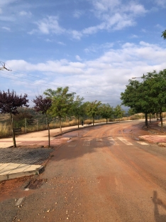 Foto 4 - La Asociación de Vecinos de los Royales se queja al Ayuntamiento por las inundaciones y el barro