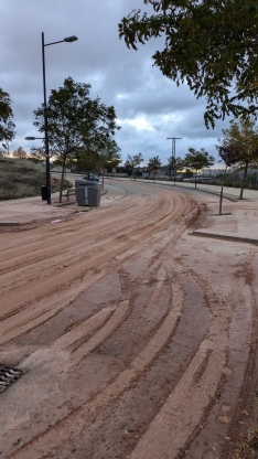 Foto 3 - La Asociación de Vecinos de los Royales se queja al Ayuntamiento por las inundaciones y el barro