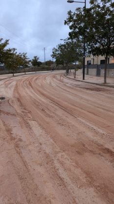 Foto 6 - La Asociación de Vecinos de los Royales se queja al Ayuntamiento por las inundaciones y el barro