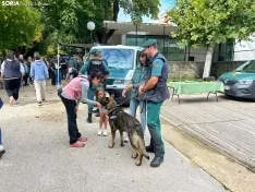Foto 13 - &iquest;C&oacute;mo trabaja la Guardia Civil en Soria?