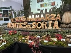 Foto 3 - Almarza, un para&iacute;so micol&oacute;gico con 190 especies de setas