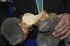 Fiesta de la elaboración del pan en Los Campos.