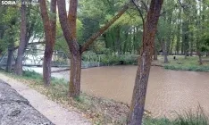 Foto 9 - Contin&uacute;an los incidentes por el viento en Soria: Cae un &aacute;rbol encima de un coche en pleno centro