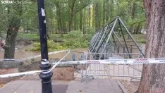 Foto 3 - Contin&uacute;an los incidentes por el viento en Soria: Cae un &aacute;rbol encima de un coche en pleno centro