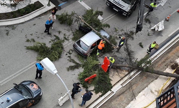 Contin&uacute;an los incidentes por el viento en Soria: Cae un &aacute;rbol encima de un coche en pleno centro