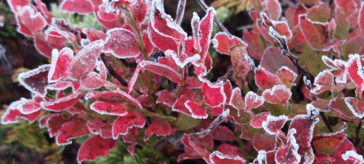 La Póveda de Soria amanece con -3,0ºC este sábado