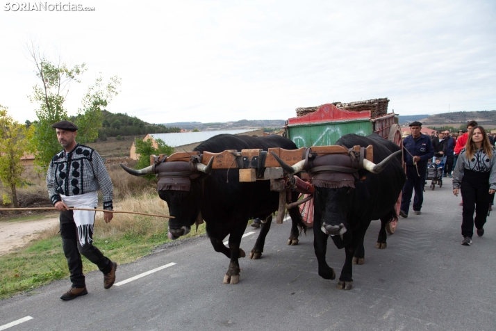 Jornadas de la Vendimia en Langa