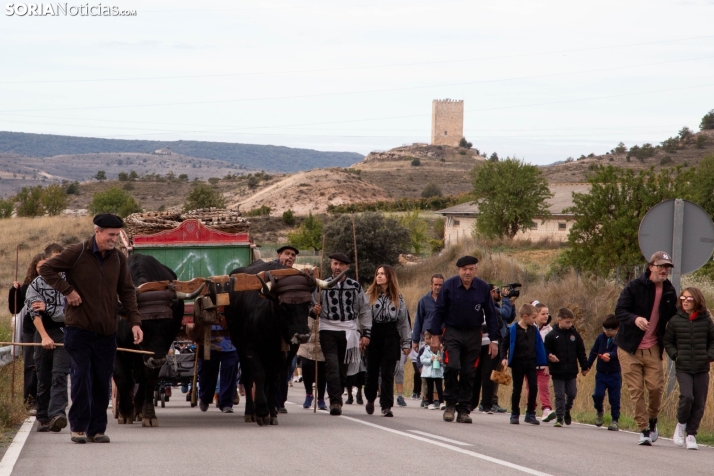 Jornadas de la Vendimia en Langa