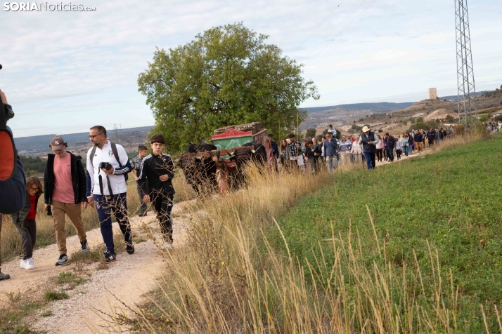 Jornadas de la Vendimia en Langa