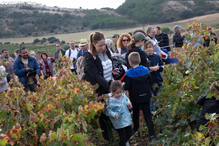 Jornadas de la Vendimia en Langa