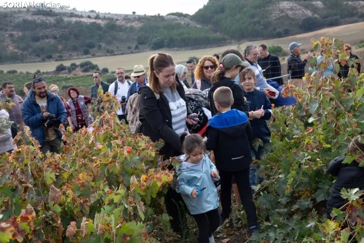 Jornadas de la Vendimia en Langa