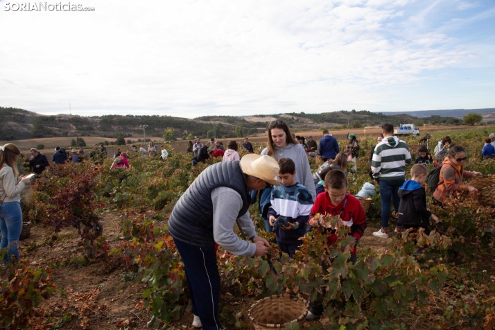 Jornadas de la Vendimia en Langa