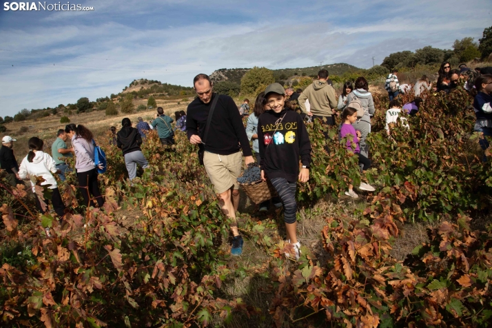 Jornadas de la Vendimia en Langa