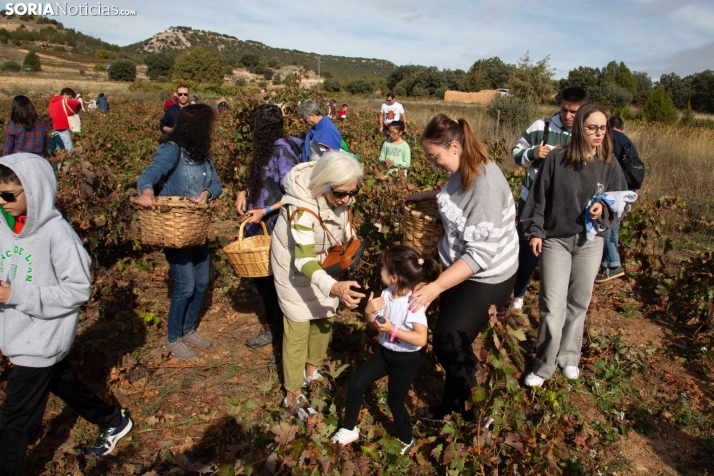 Jornadas de la Vendimia en Langa