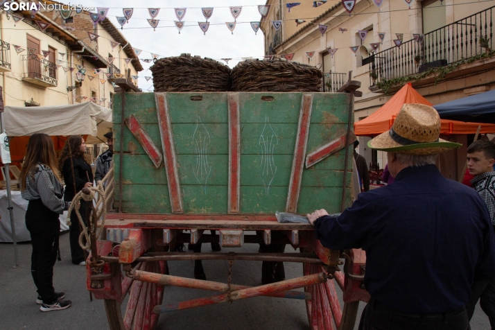 Jornadas de la Vendimia en Langa