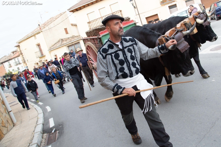 Jornadas de la Vendimia en Langa