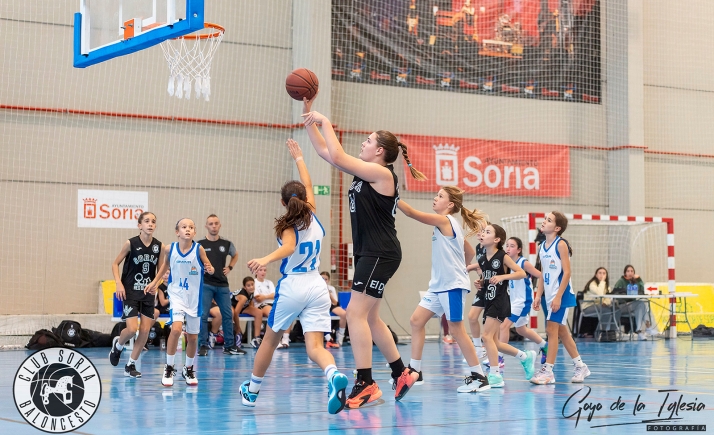 Cuatro canteranos del Soria Baloncesto se concentran con las preselecciones de Castilla y León