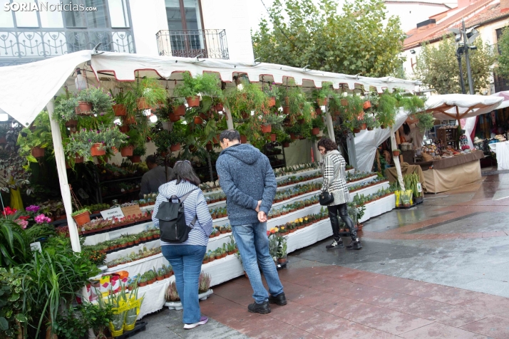 Mercado Medieval de Soria