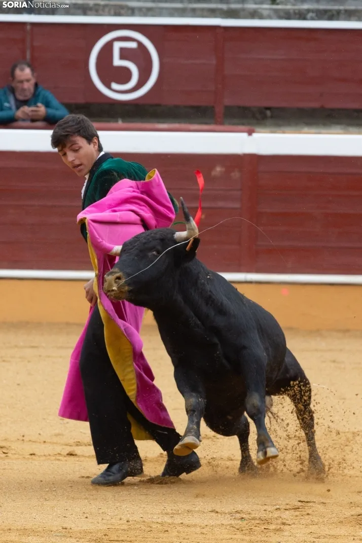 Novillada 2024